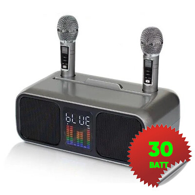 micmagic L500